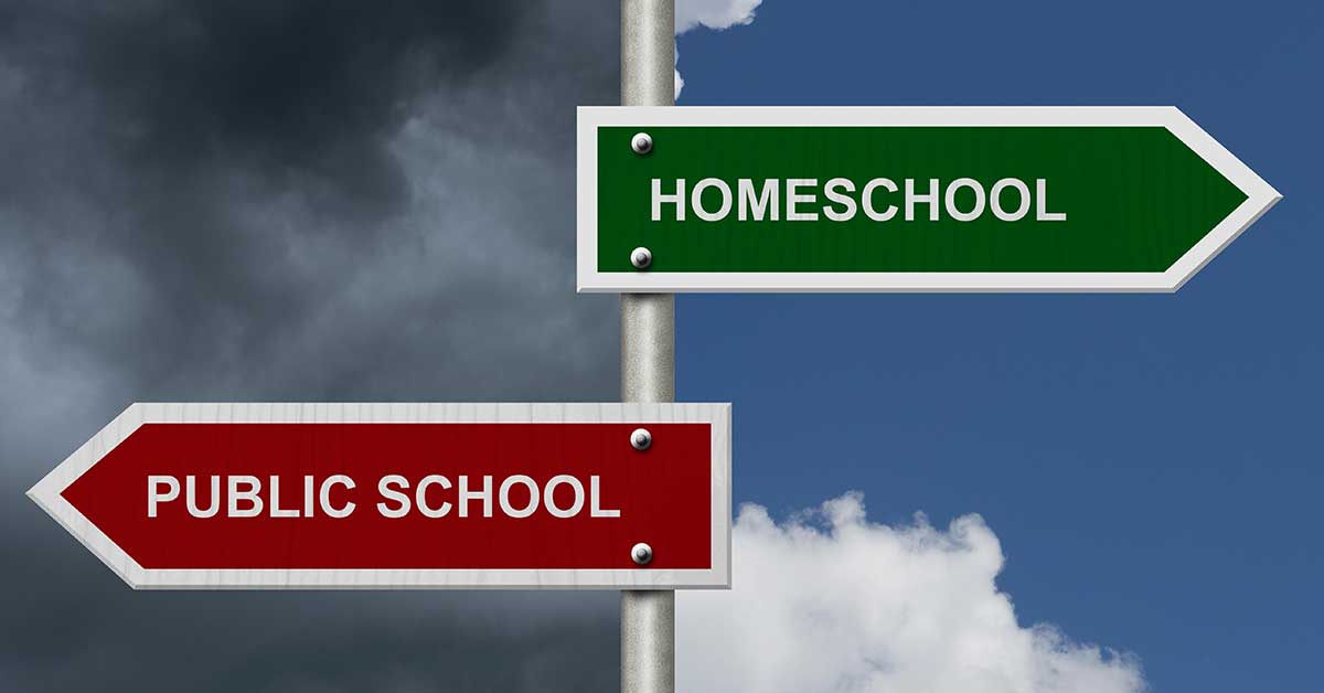 A signpost with two arrows against a cloudy sky: one green arrow labeled "Homeschool" pointing right and a red one marked "Public School" directing left, subtly highlighting the theme of school choice.