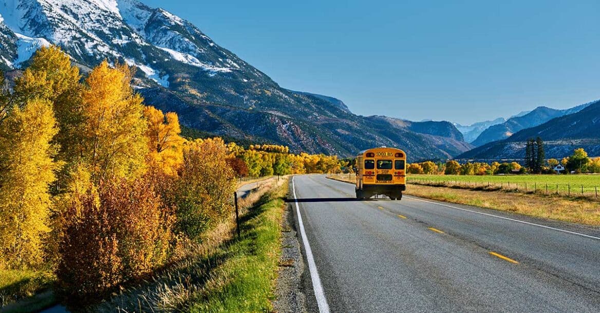 PUBLIC LAW 101 336 visual data 8