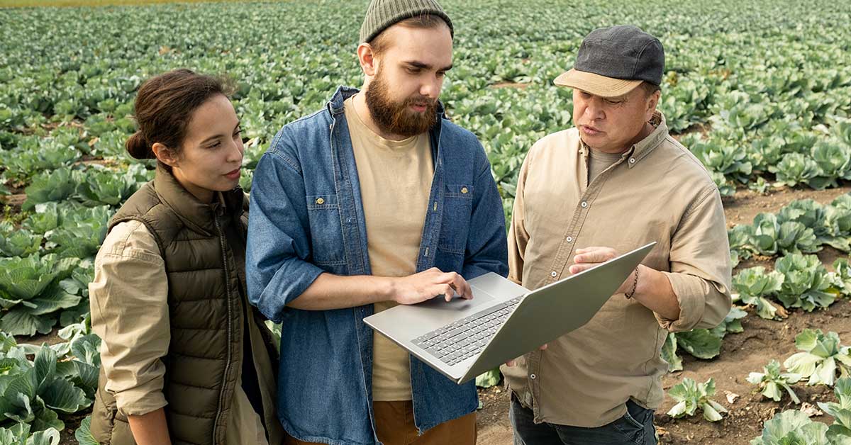 Three people stand in a cabbage field, looking at a laptop together, discussing something while surrounded by rows of crops—a quiet moment that hints at the revolution in agriculture, where knowledge and technology bridge generations and shape the course of history.